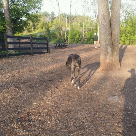 Photos at Leesburg Dog Park 4 tips