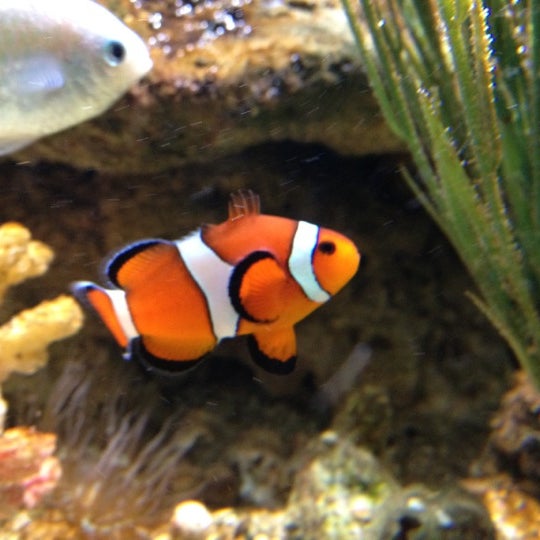 Sea Life Speyer 15 Tipps