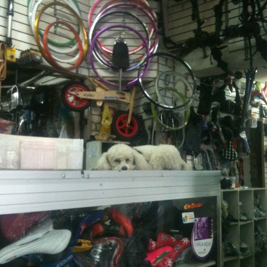 Zulecazu bicicletas online