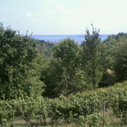 Foto diambil di Ciccone Vineyard &amp; Winery oleh Rodney R. pada 8/4/2012