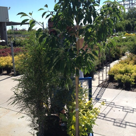 J&J Nursery Layton, UT