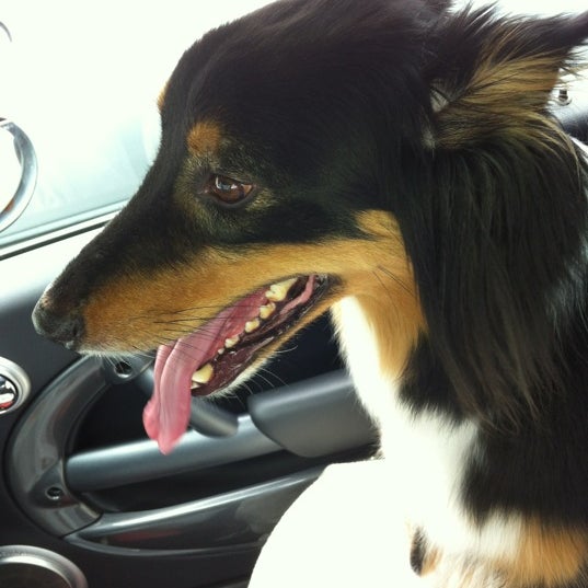 Nashville Pet Products Pet Store