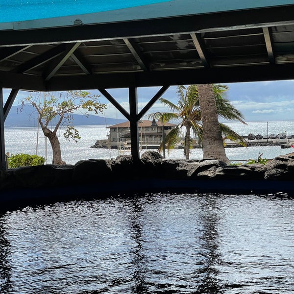 รูปภาพถ่ายที่ Maui Ocean Center, The Hawaiian Aquarium โดย Janice F. เมื่อ 11/7/2021