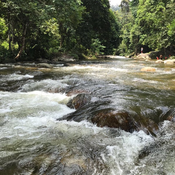 Hutan Lipur Sungai Sedim - 5 tips from 216 visitors