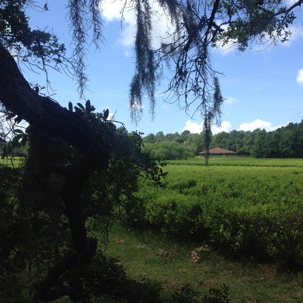 Foto tirada no(a) Charleston Tea Plantation por Lara em 5/30/2013