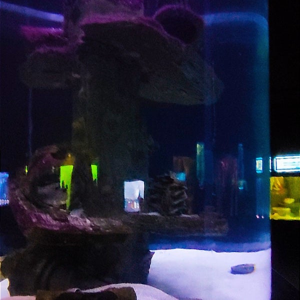 4/12/2024にBeyza B.がAntalya Aquariumで撮った写真