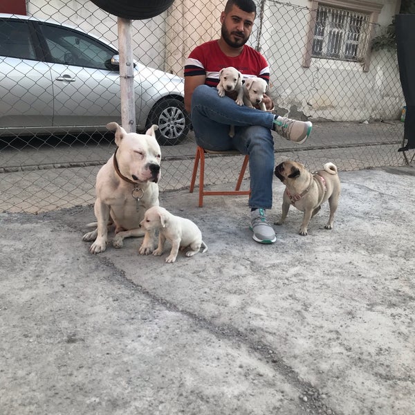 Photos At H C Oto Yikama