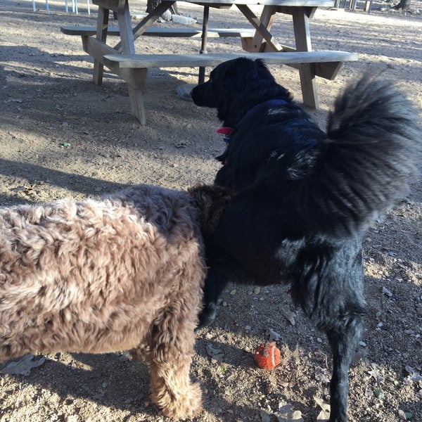 Photo taken at Dog House Drinkery Dog Park by Lacy M. on 11/22/2017