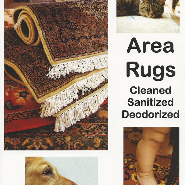 Eagle Cleaners Laundry Service in Clarks Summit