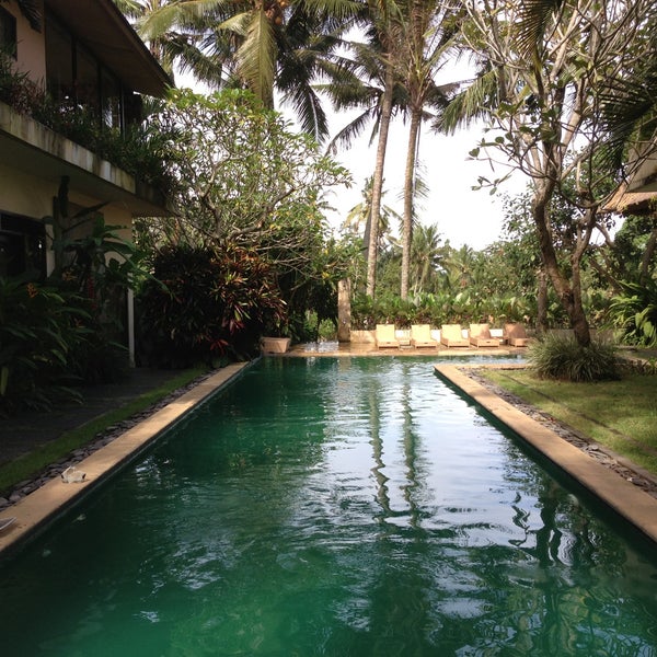 бали индиго нижний