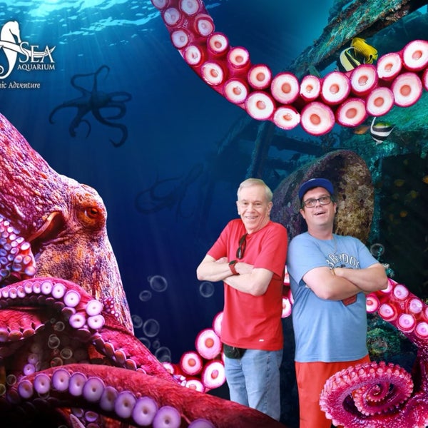 Das Foto wurde bei OdySea Aquarium von Gary am 3/20/2022 aufgenommen