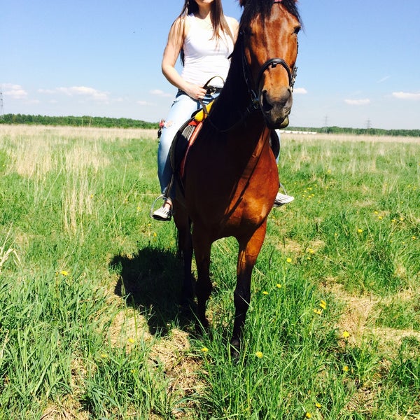 5/30/2015にAnna B.がКСК Western Horseで撮った写真