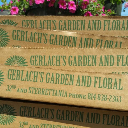 Gerlach Flowers Erie Pa Best Flower Site