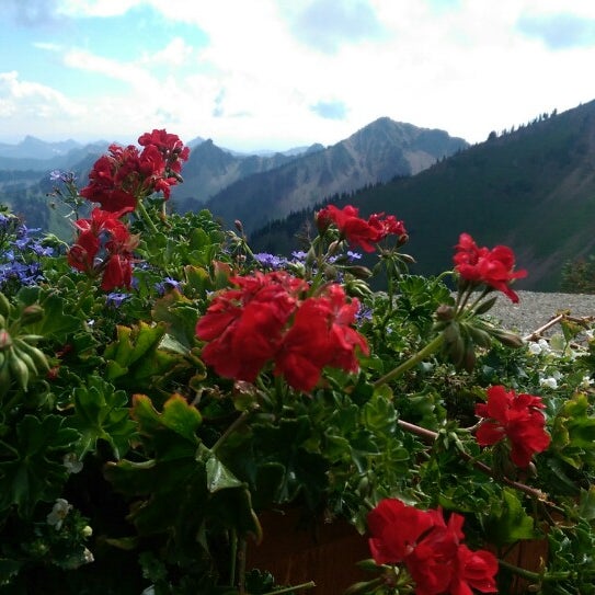 Photos at Summit House Bistro - American Restaurant in Crystal Mountain
