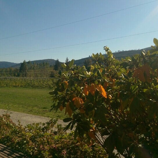 Mount Baker Vineyards 4298 Mount Baker Highway