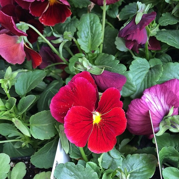 Photos at The Home Depot Hardware Store in Salt Lake City