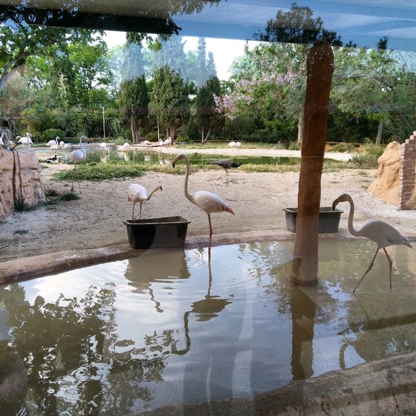 Das Foto wurde bei Attica Zoological Park von Alexis L. am 5/14/2022 aufgenommen