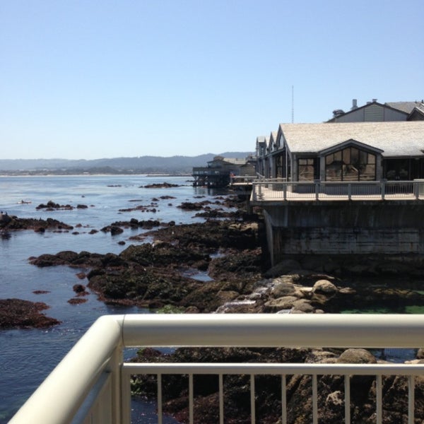 Photo prise au Monterey Bay Aquarium par Luis C. le5/2/2013