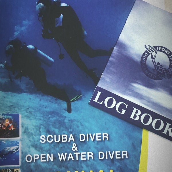 Dive in time. Dive in time