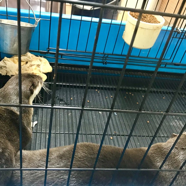 Fotos En ユニディ 狛江店 Ferreteria En 狛江