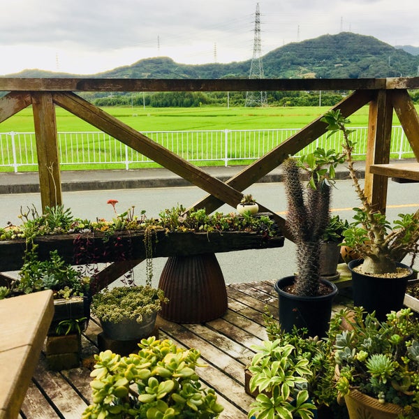 Photos At サボテンランド カクト ロコ 北区都田町1672 3