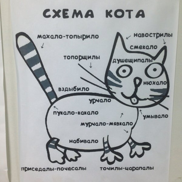 Иветас мурманск. Иветас мурманск. Иветас мурманск. Иветас мурманск. Иветас ветклиника мурманск.