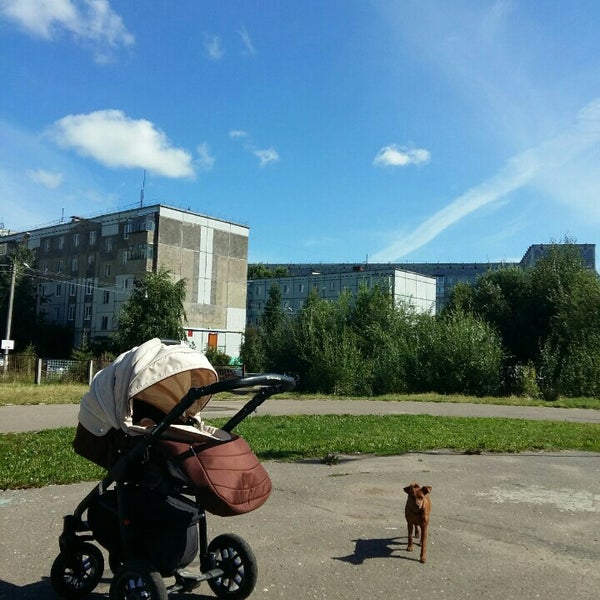 школа 43 сыктывкар