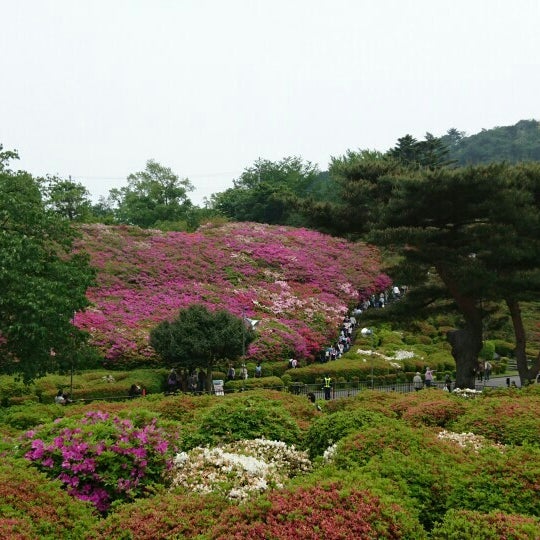 小室山つつじ園 川奈小室山