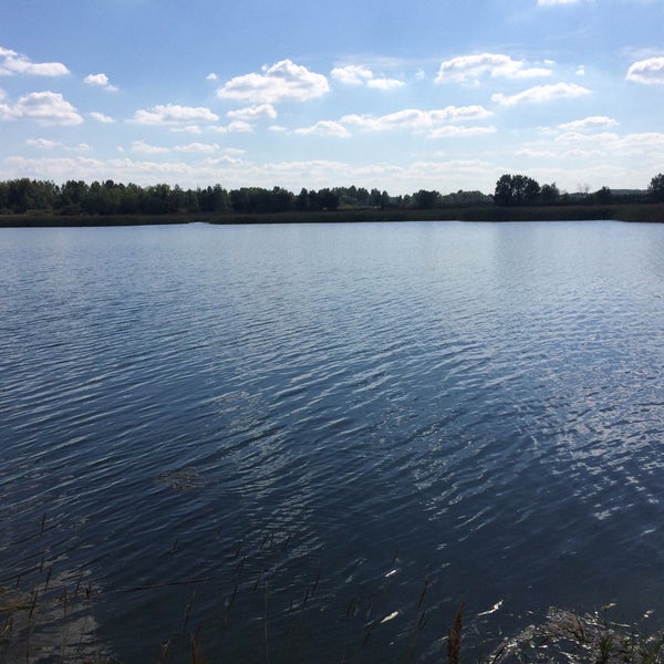 Водоёмы Ропша