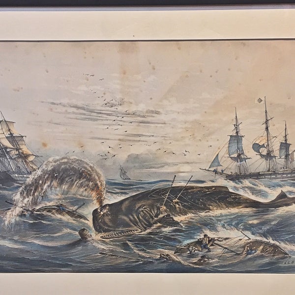 Foto tomada en New Bedford Whaling Museum  por Timothy B. el 7/26/2018