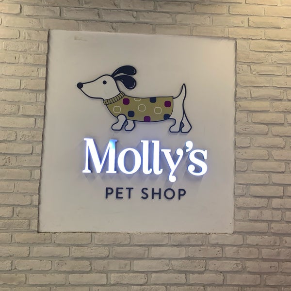 Molly's Pet Shop 반포4동 서울특별시, 서울특별시