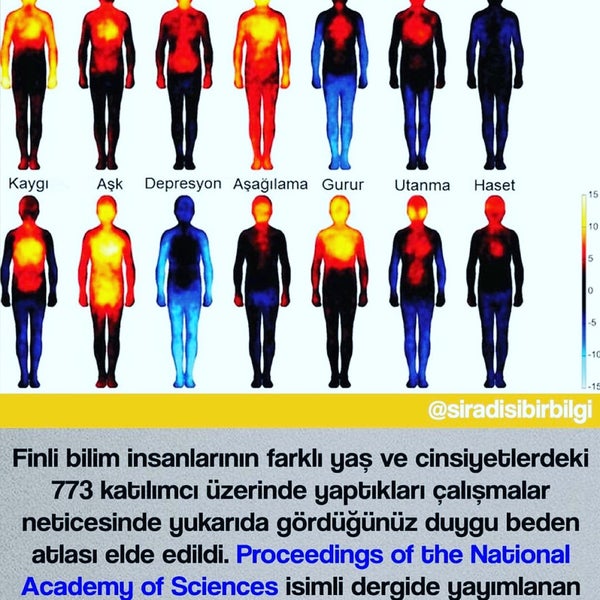 Тепловая карта эмоций человека