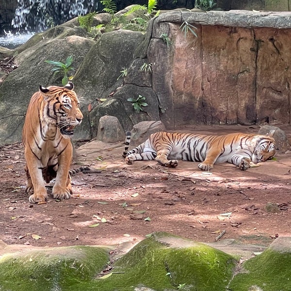 Photo taken at Zoo Melaka by Nyda on 12/13/2021