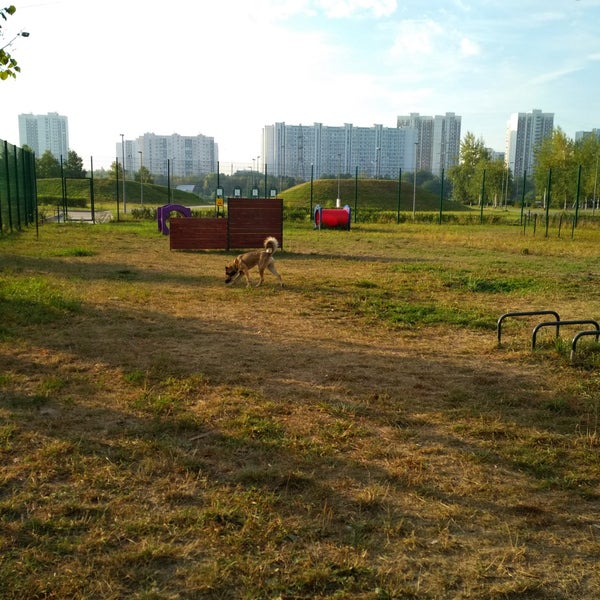 спущенное колеико собака. собака марьино. собака марьино. собака марьино. собака марьино.