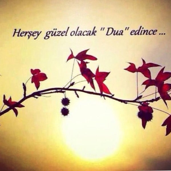 ханде догандемир. Her sey. сей аделекян. Seninle. страницы из дневника колетт.