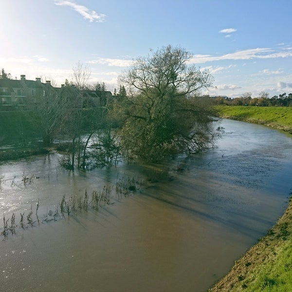 Shona River Feet