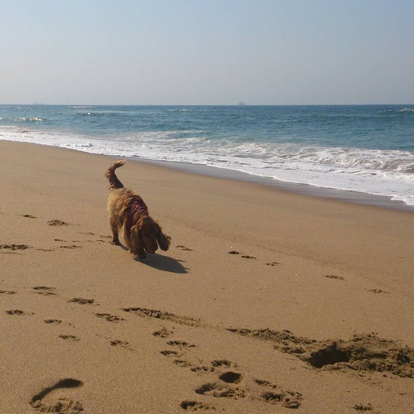 Virginia Beach Durban North Durban City 2 tips from 106 visitors