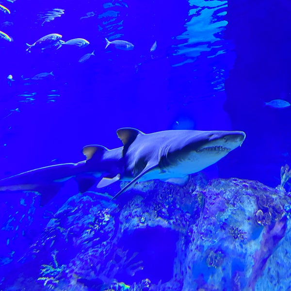 Photo taken at Funtastic Aquarium İzmir by 🔱 Oğuz Y. on 12/24/2023