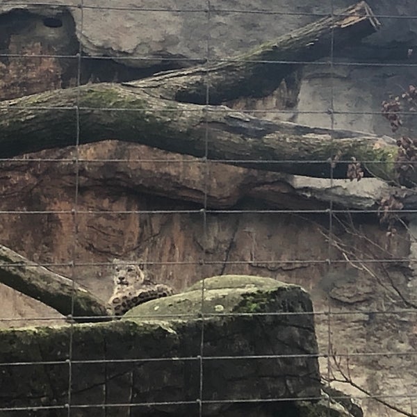 Das Foto wurde bei Zoo Basel von yRa G. am 1/3/2020 aufgenommen