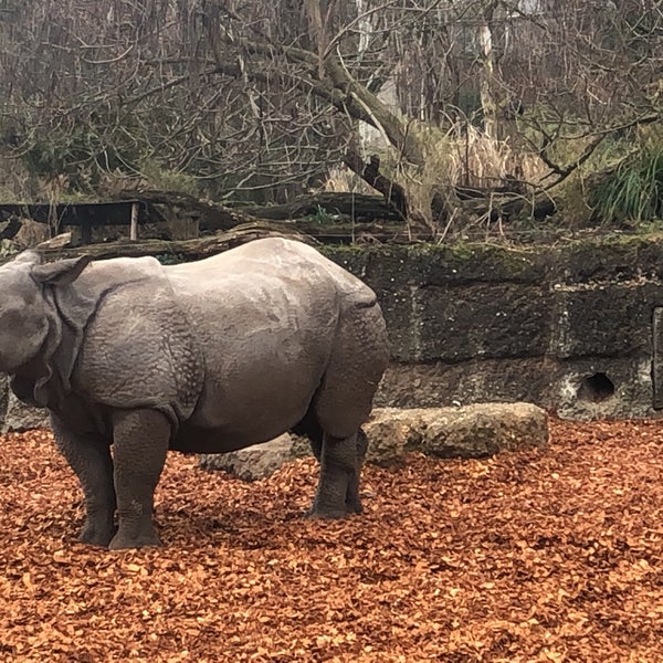 Das Foto wurde bei Zoo Basel von yRa G. am 1/3/2020 aufgenommen