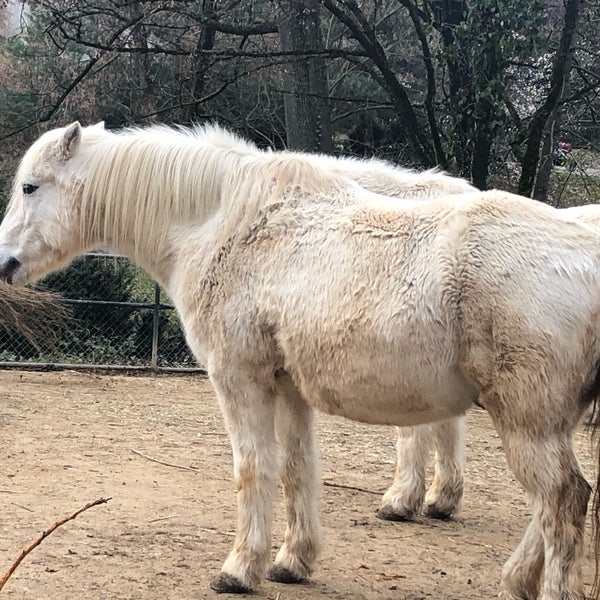 Foto scattata a Zoo Basel da yRa G. il 1/3/2020