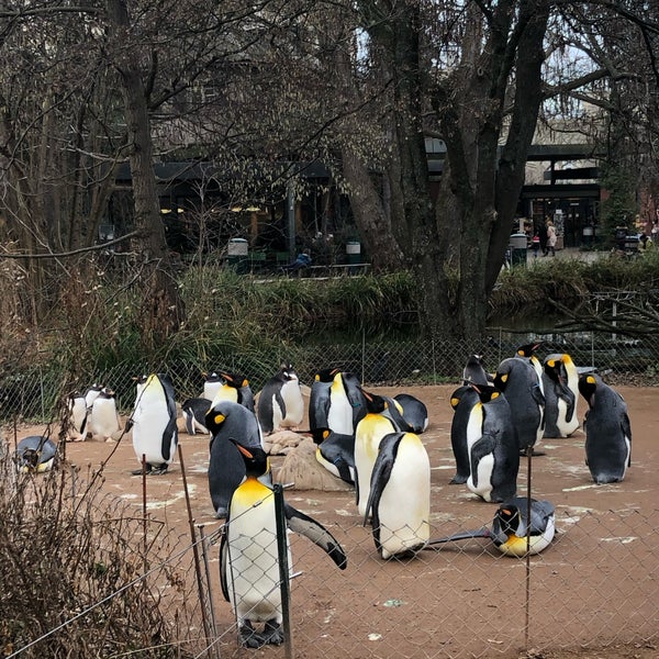 Photo taken at Zoo Basel by yRa G. on 1/3/2020