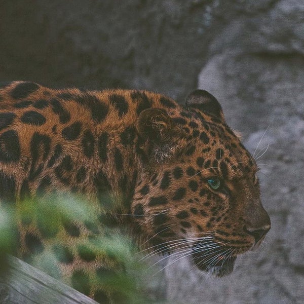 Das Foto wurde bei Zoo Parc Overloon von H. Y. am 5/17/2018 aufgenommen