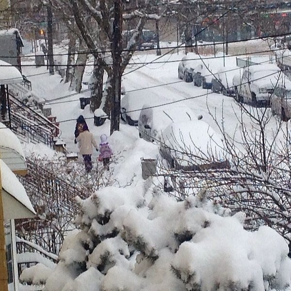 St Stanislaus Kostka School 23 visitors