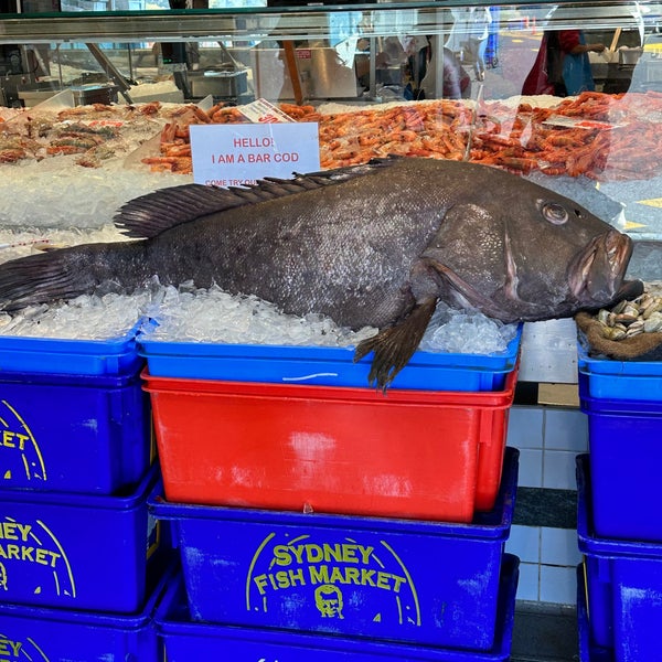 Photo taken at Sydney Fish Market by David A. on 3/8/2023