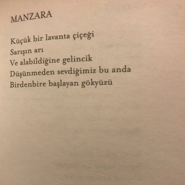 Abant Yeşil Ev / Rüya Ev Bolu, Bolu