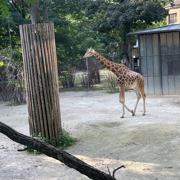 Foto tirada no(a) Zoo Basel por Nancy T. em 8/14/2021