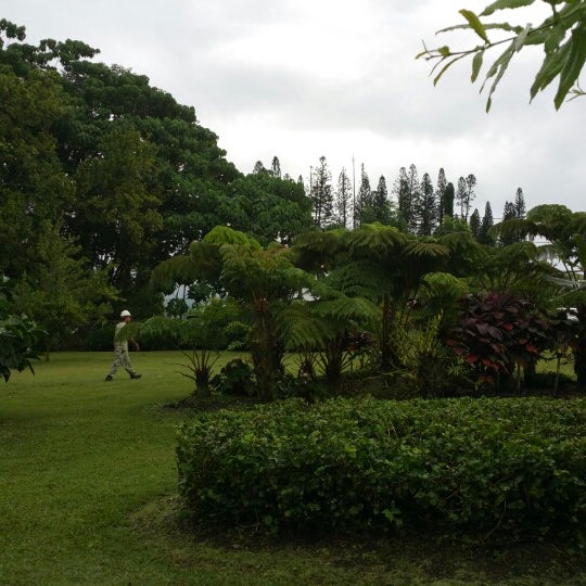 12/24/2014에 Victor님이 Mauna Loa Macadamia Nut Visitor Center에서 찍은 사진