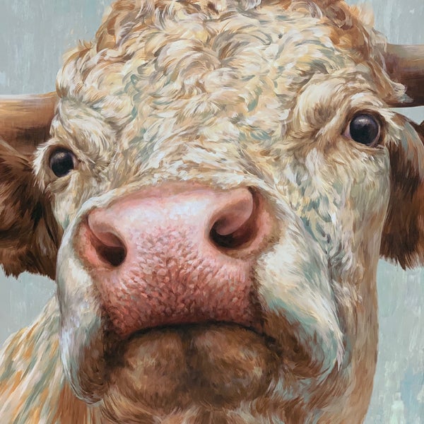 Hobby Lobby Arts and Crafts Store in Huber Heights