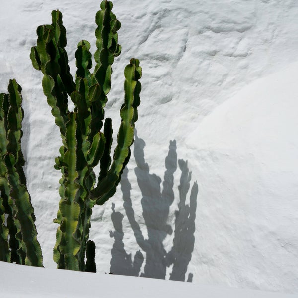 3/11/2014 tarihinde Carbonaki Hotel Mykonosziyaretçi tarafından Carbonaki Hotel Mykonos'de çekilen fotoğraf